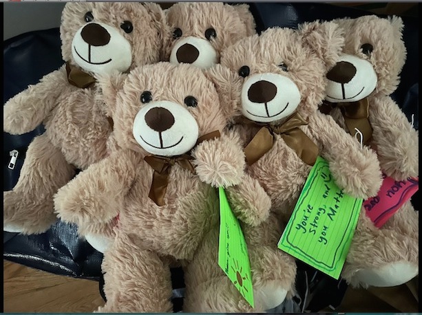 Teddy Bear Project